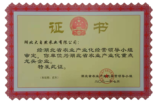 重點龍頭企業